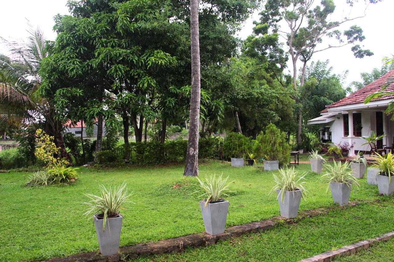 Coco Home Negombo Esterno foto